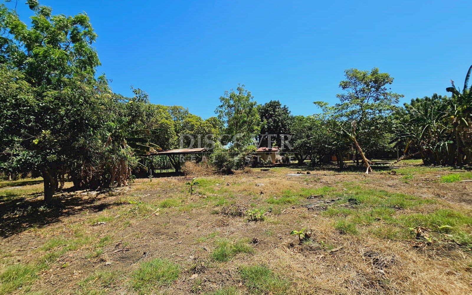 Imagen 4 de la galería