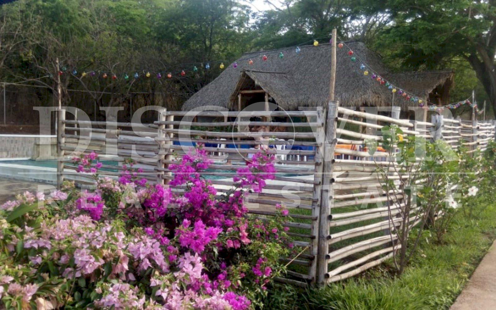 Imagen 2 de la galería