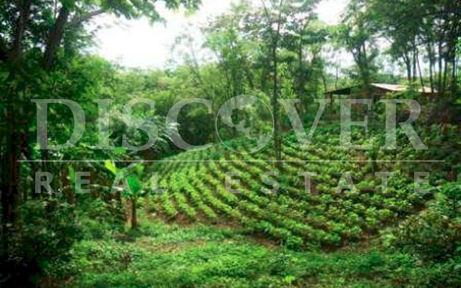 Surf Ranch for Sale in San Juan del Sur ID 7946