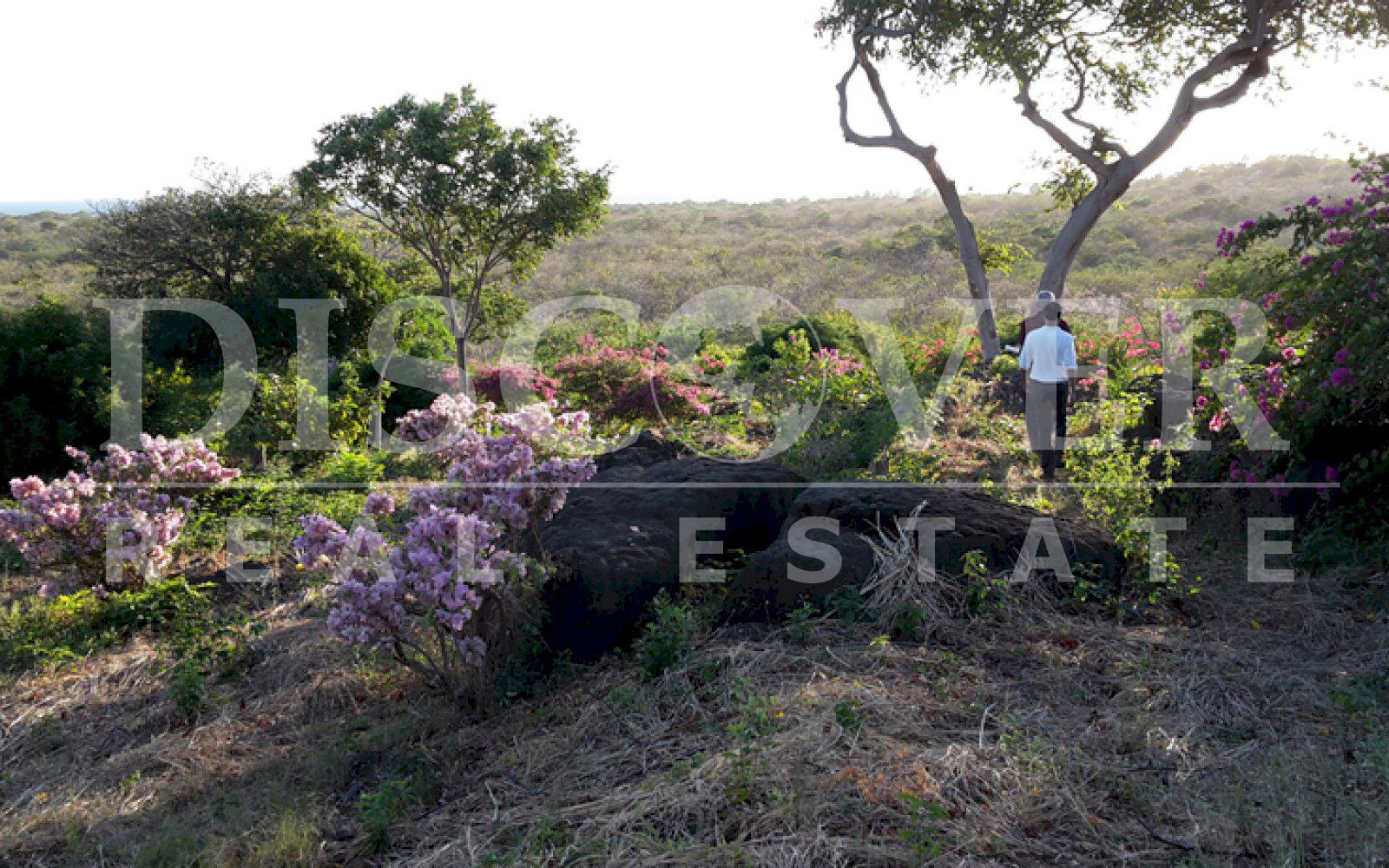 https://images.discovernica.com/propiedad/1600/20150127_170100.jpg