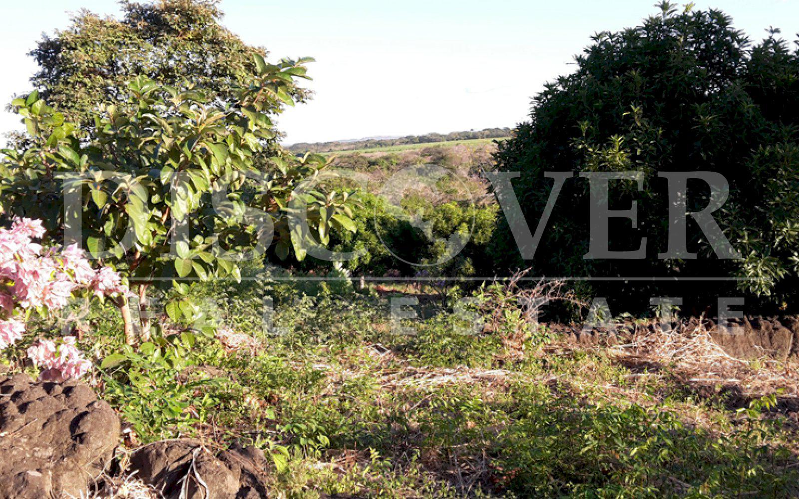 https://images.discovernica.com/propiedad/1600/20150127_170241.jpg