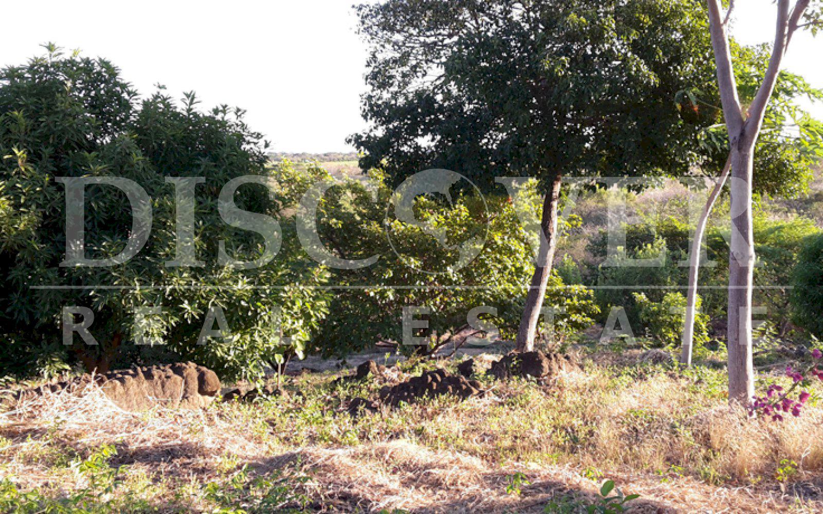 https://images.discovernica.com/propiedad/1600/20150127_170245.jpg