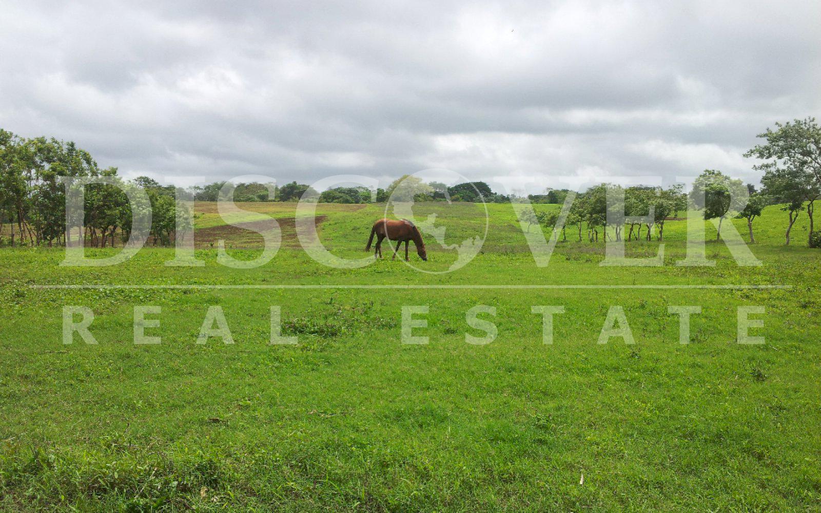 Imagen 3 de la galería