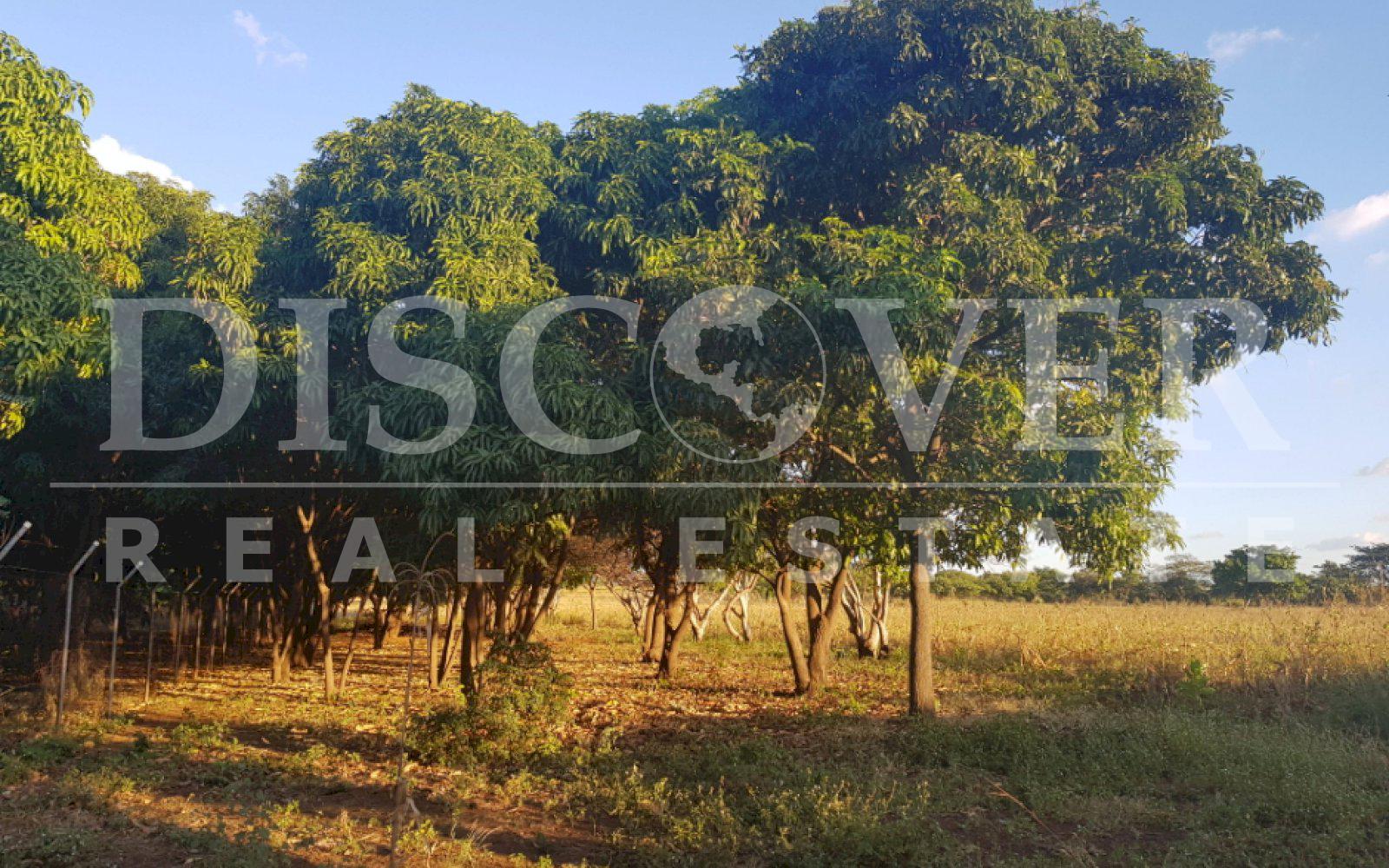 https://images.discovernica.com/propiedad/1600/20190118_170700.jpg