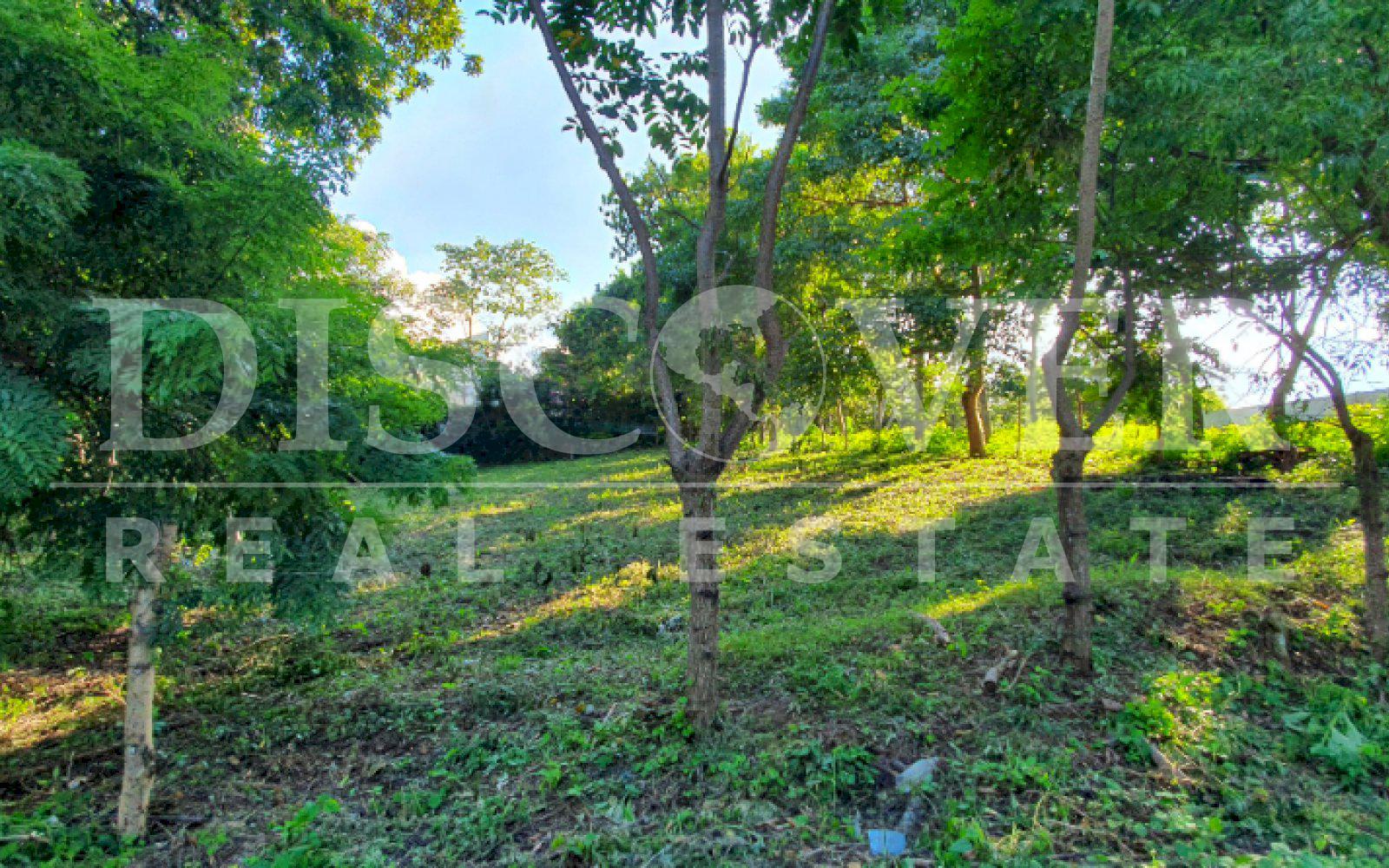 https://images.discovernica.com/propiedad/1600/20191025_151343.jpg