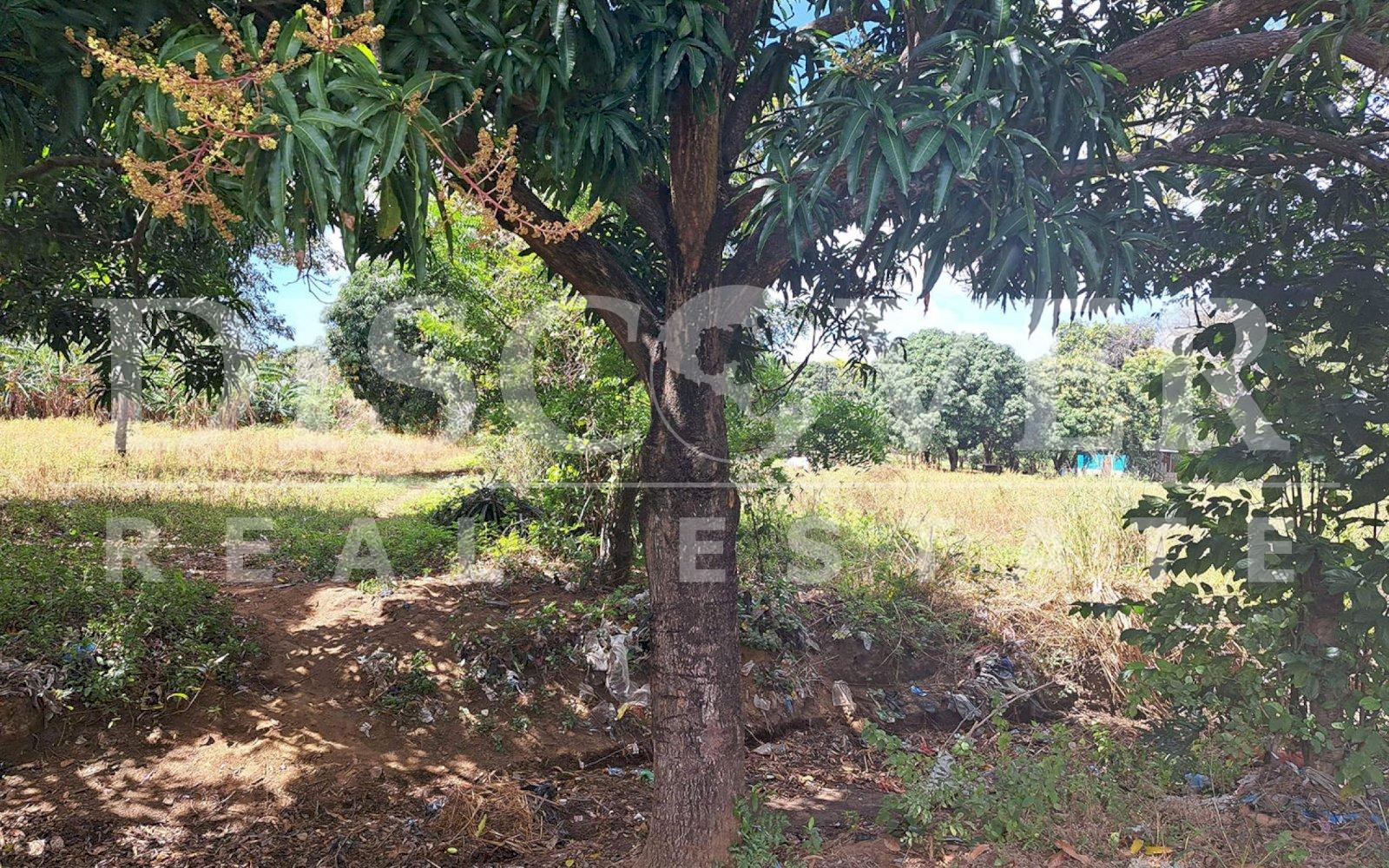 Imagen 13 de la galería