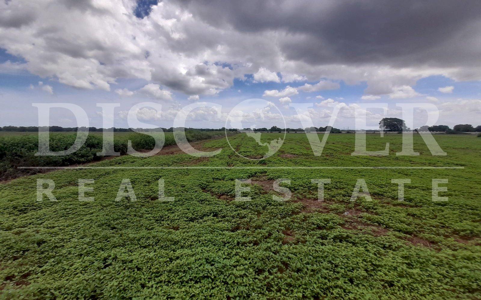 https://images.discovernica.com/propiedad/1600/20230613_105824.jpg