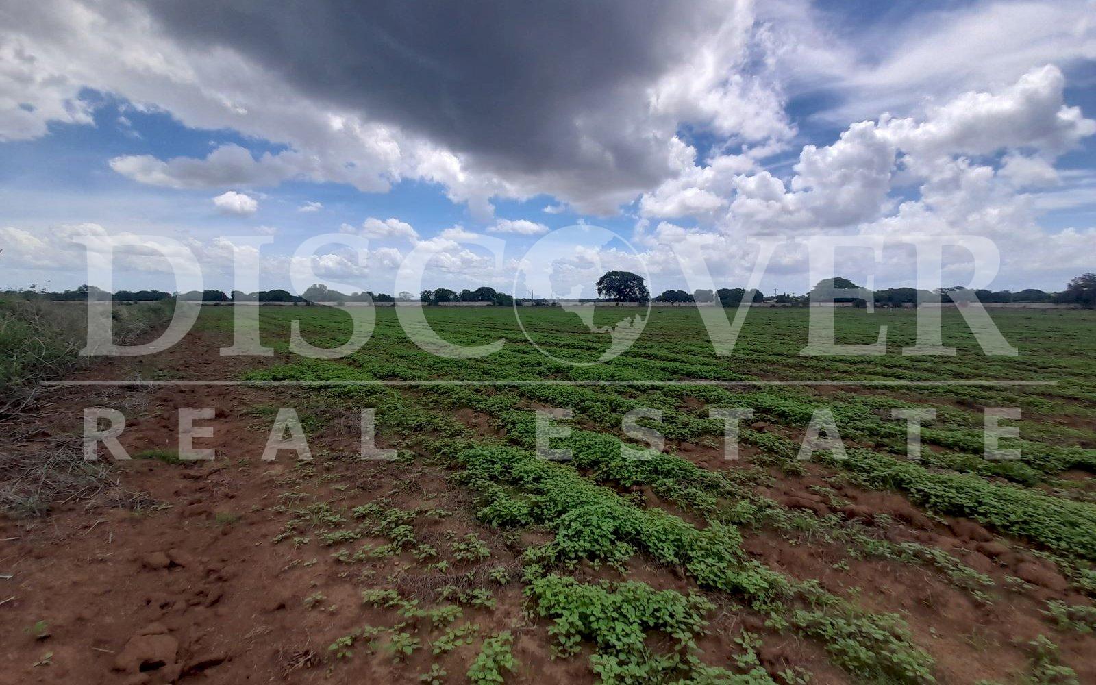 https://images.discovernica.com/propiedad/1600/20230613_110109.jpg