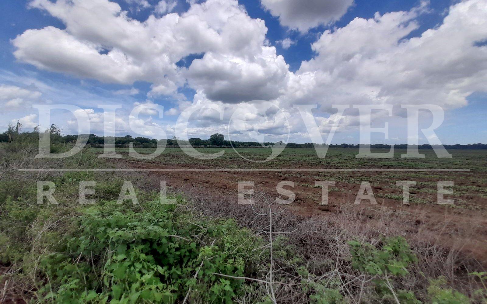 https://images.discovernica.com/propiedad/1600/20230613_110151.jpg