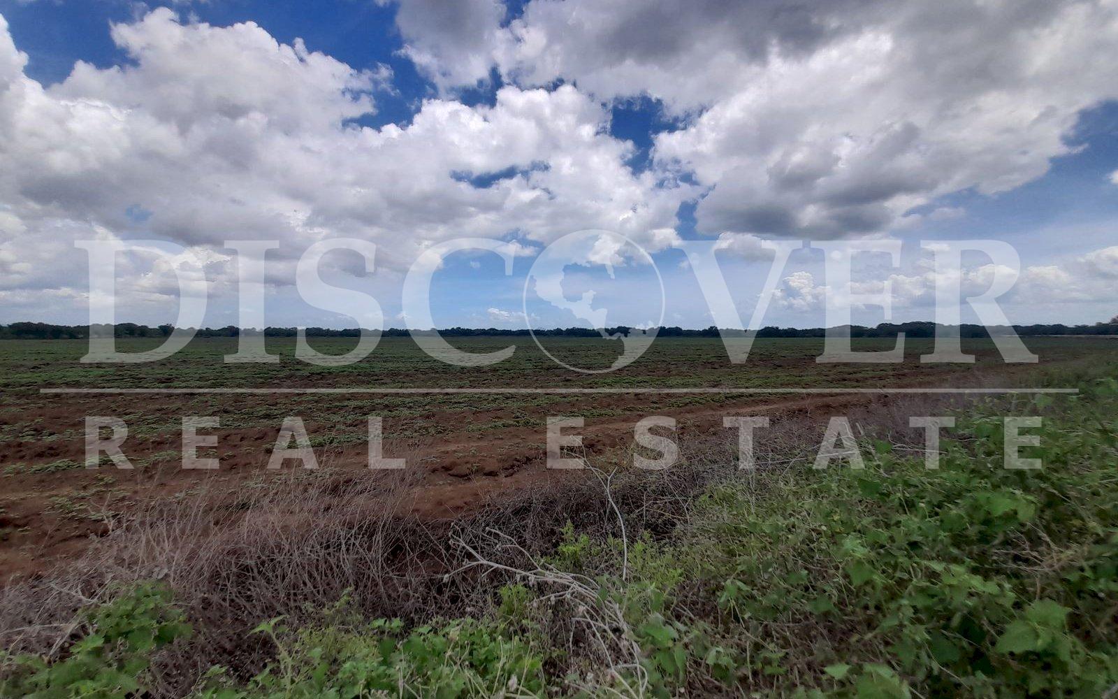 https://images.discovernica.com/propiedad/1600/20230613_110154.jpg