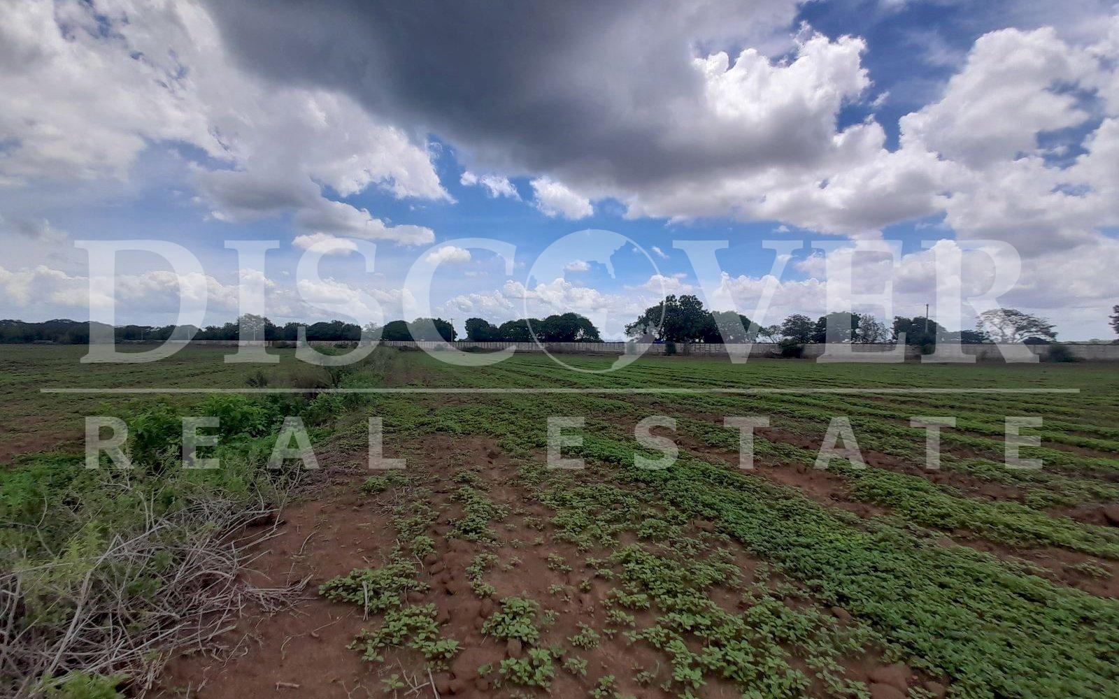 https://images.discovernica.com/propiedad/1600/20230613_110450.jpg