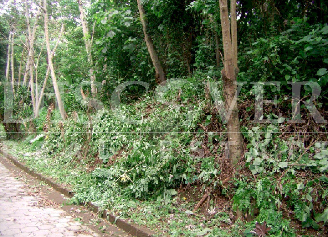 https://images.discovernica.com/propiedad/1600/27032.jpg