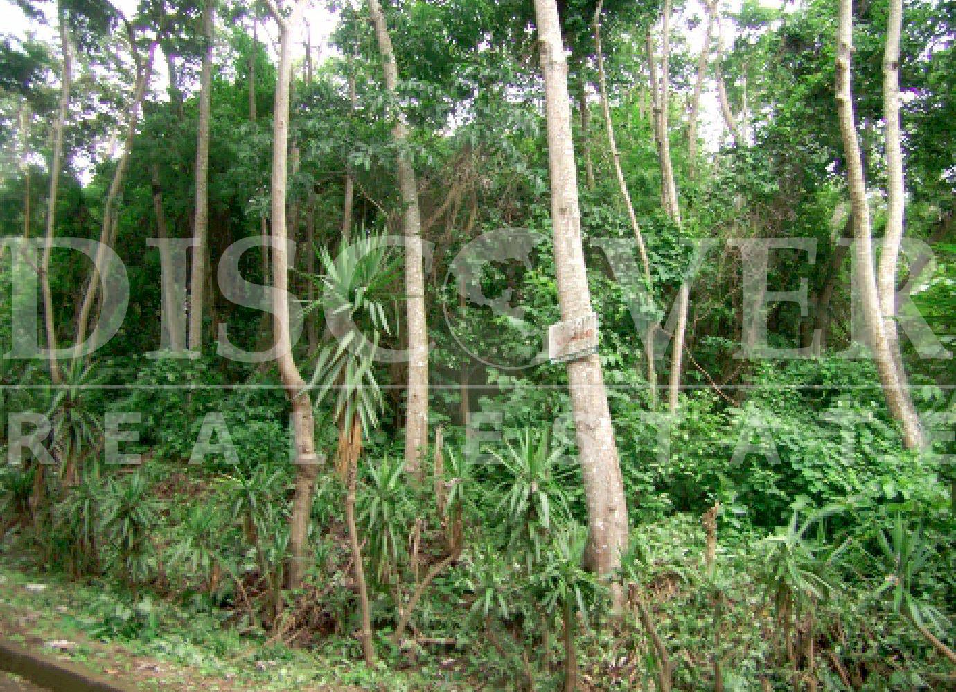 https://images.discovernica.com/propiedad/1600/27034.jpg