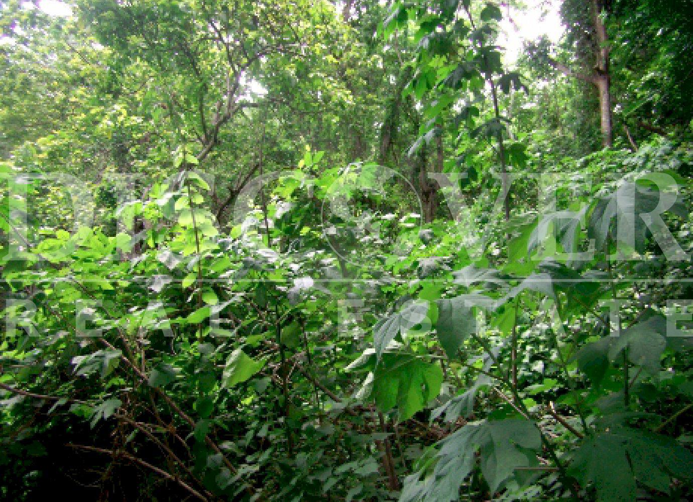 https://images.discovernica.com/propiedad/1600/27075.jpg