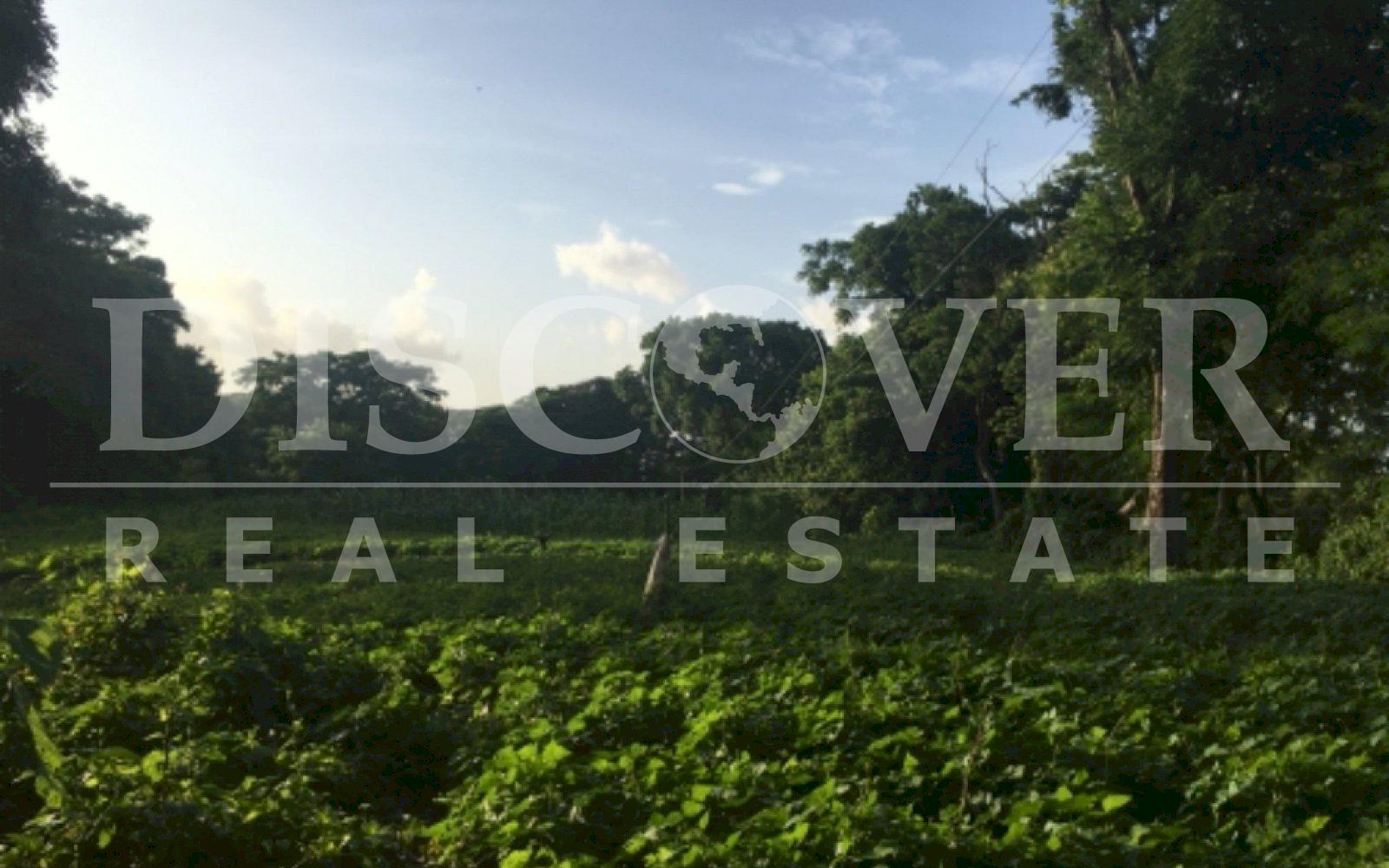https://images.discovernica.com/propiedad/1600/2930E4C0_3DC7_4645_82D5_46BF399151E5.jpeg