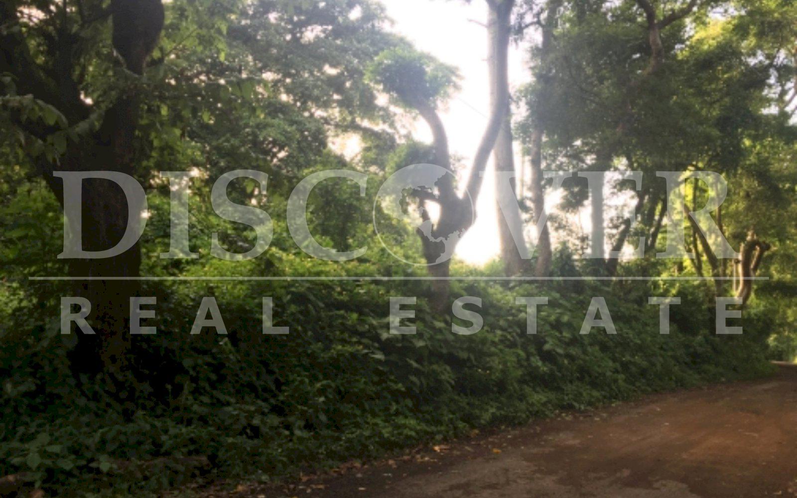 https://images.discovernica.com/propiedad/1600/2C2B8328_3809_4F84_9E31_094DF4244D82.jpeg