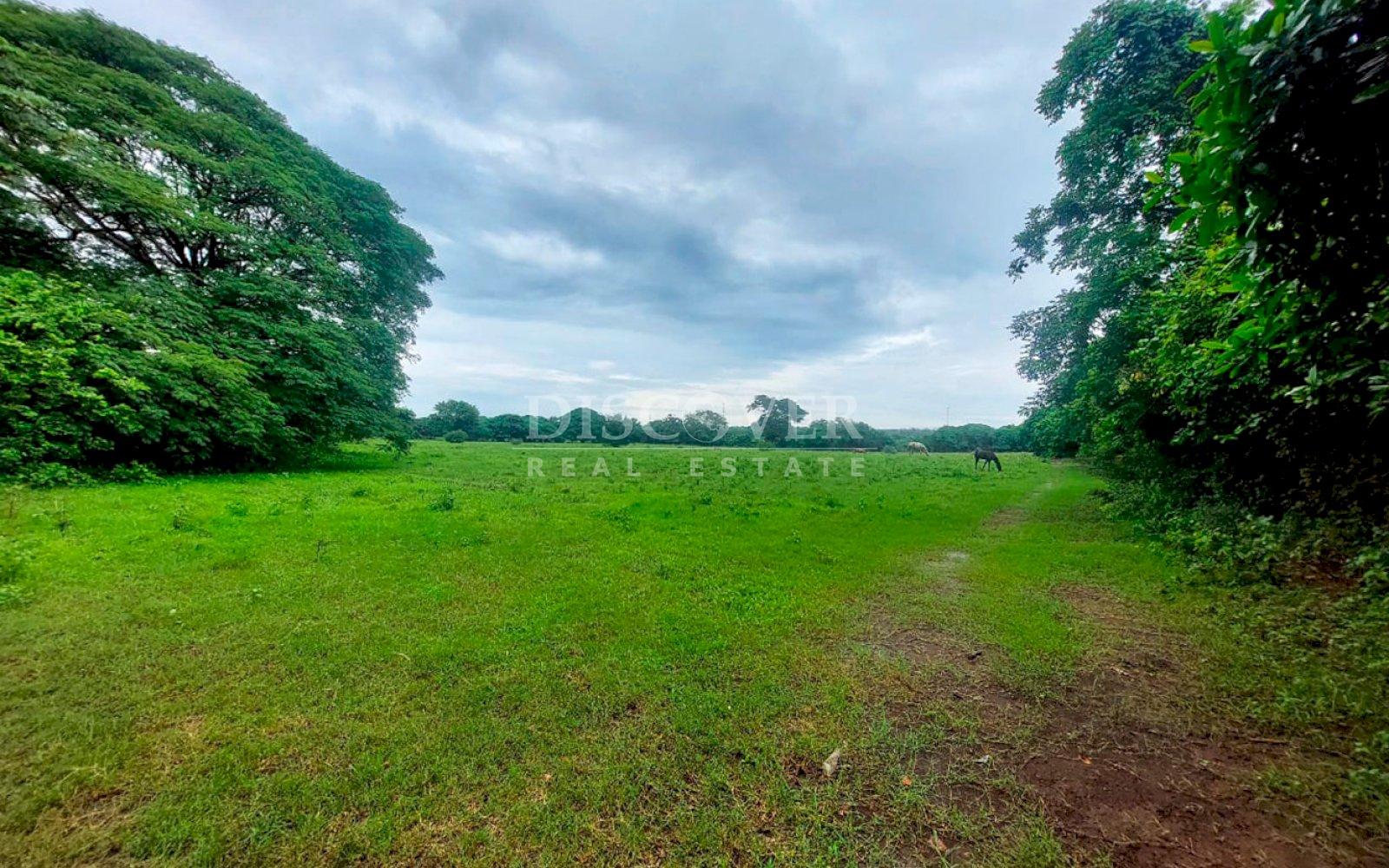 Imagen 4 de la galería