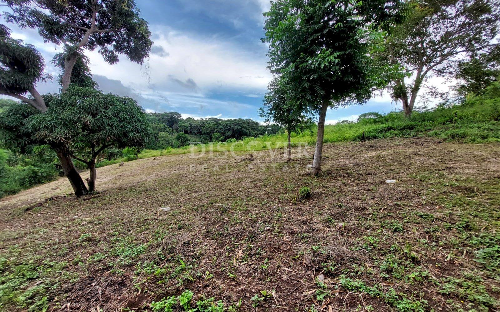 Imagen 3 de la galería