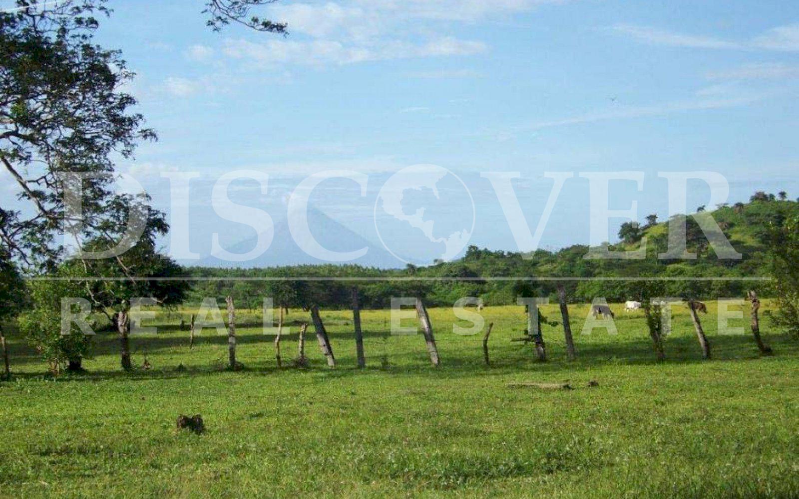 https://images.discovernica.com/propiedad/1600/2_95.jpg