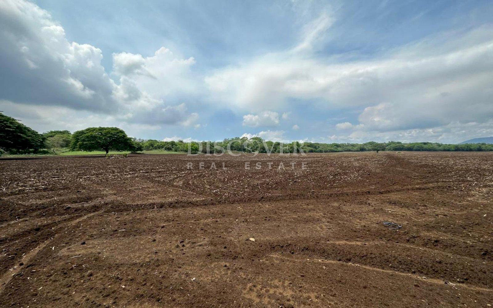 Imagen 4 de la galería