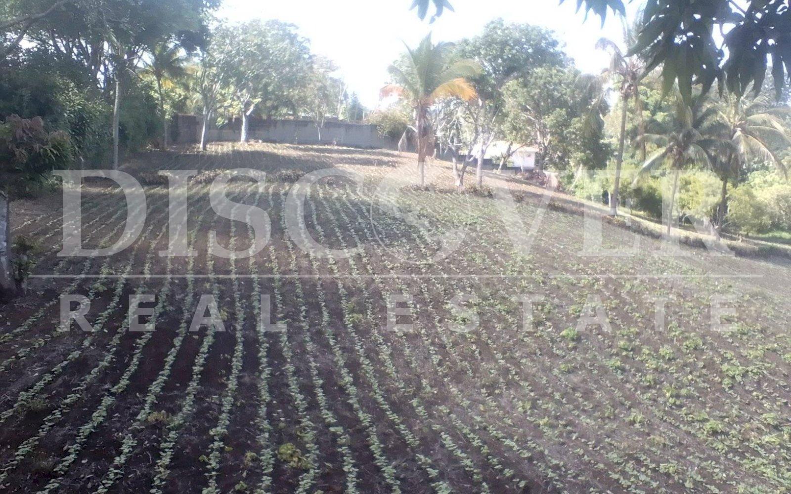 Imagen 3 de la galería