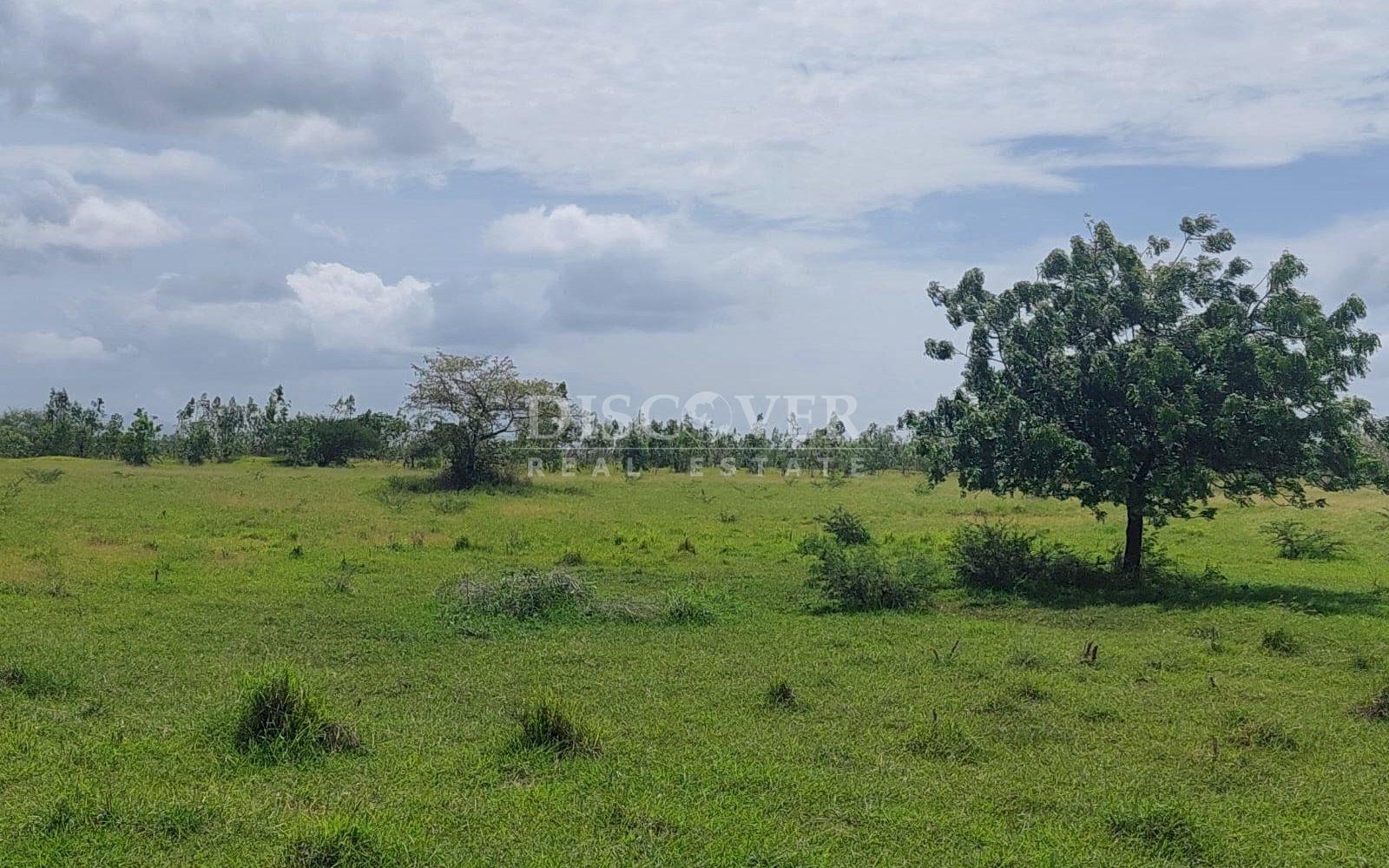 https://images.discovernica.com/propiedad/1600/3.jpg