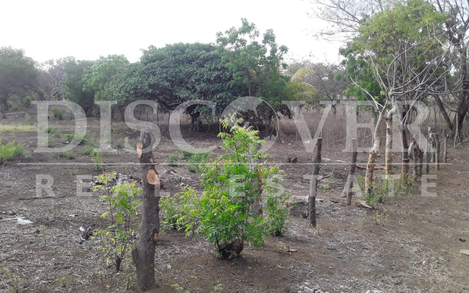 https://images.discovernica.com/propiedad/1600/30b61fc7_ef2d_459f_b6bb_10a6514f541a.jpg