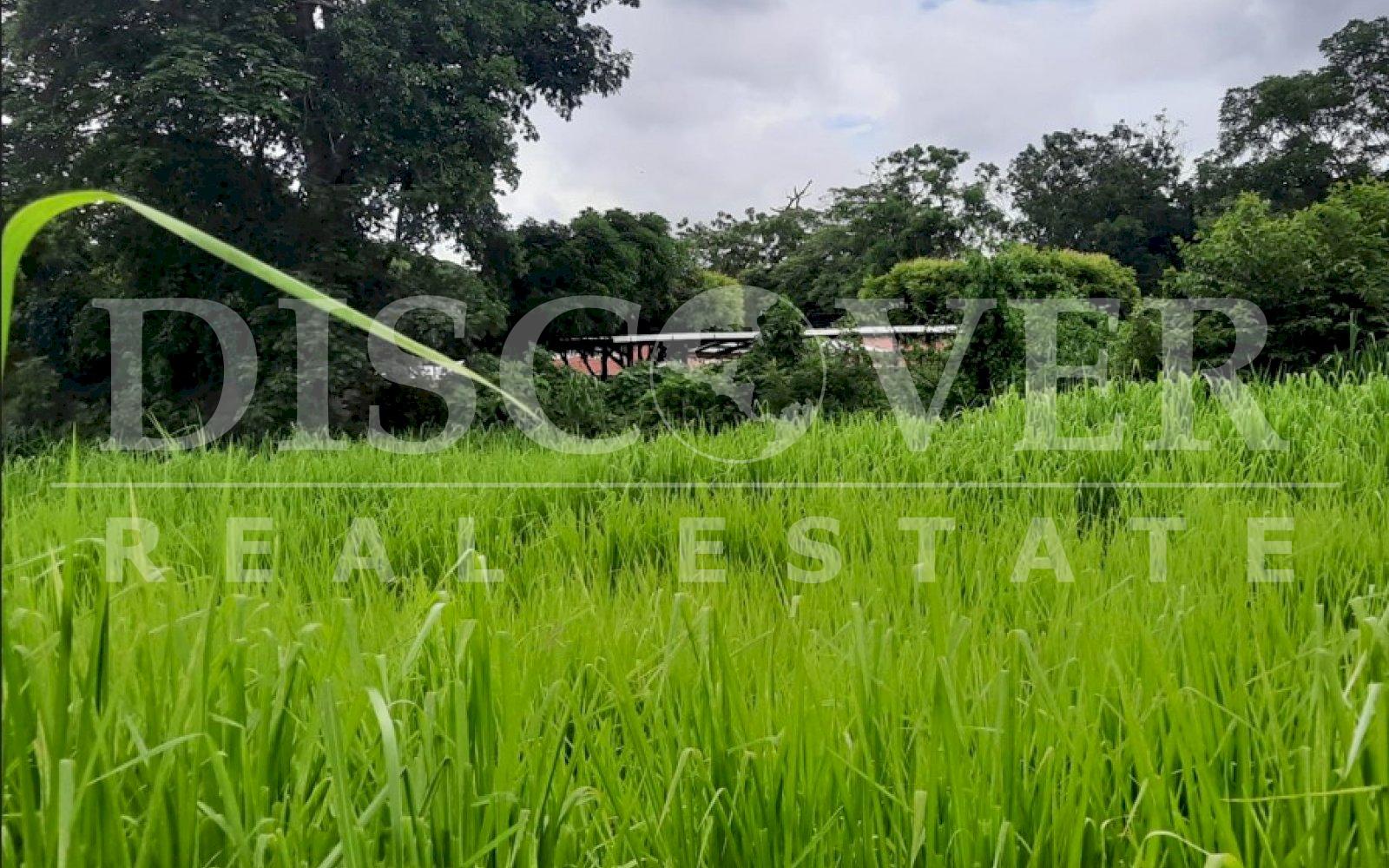 https://images.discovernica.com/propiedad/1600/34rh4e5hr45h54h.jpg