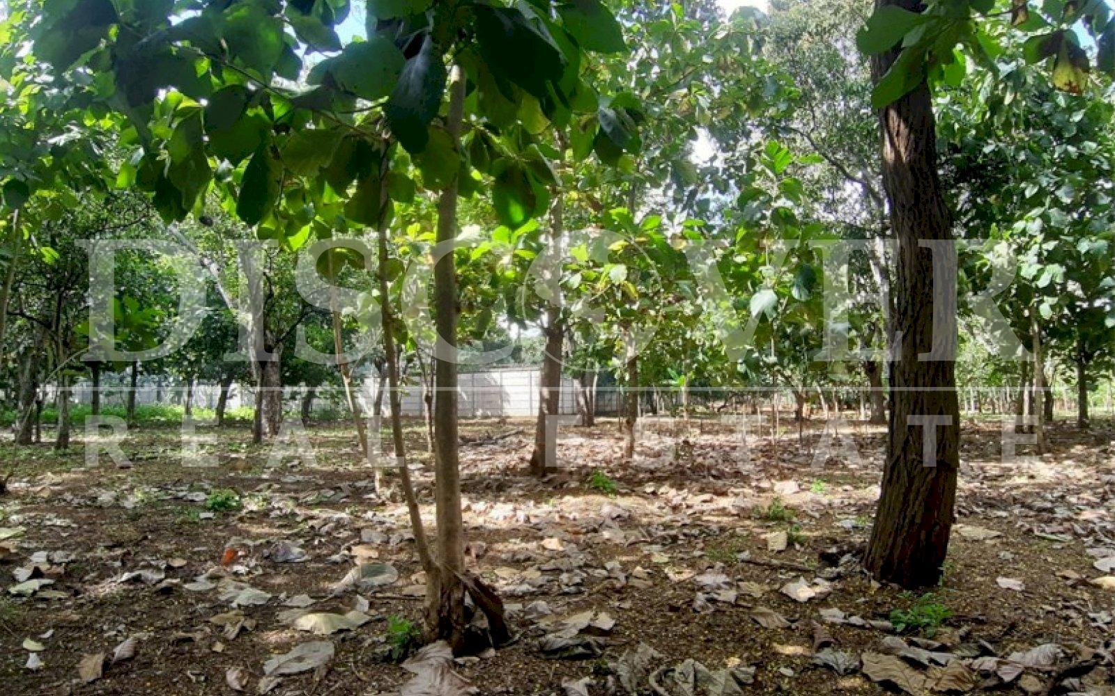 https://images.discovernica.com/propiedad/1600/34ty5eudikfyu.jpg