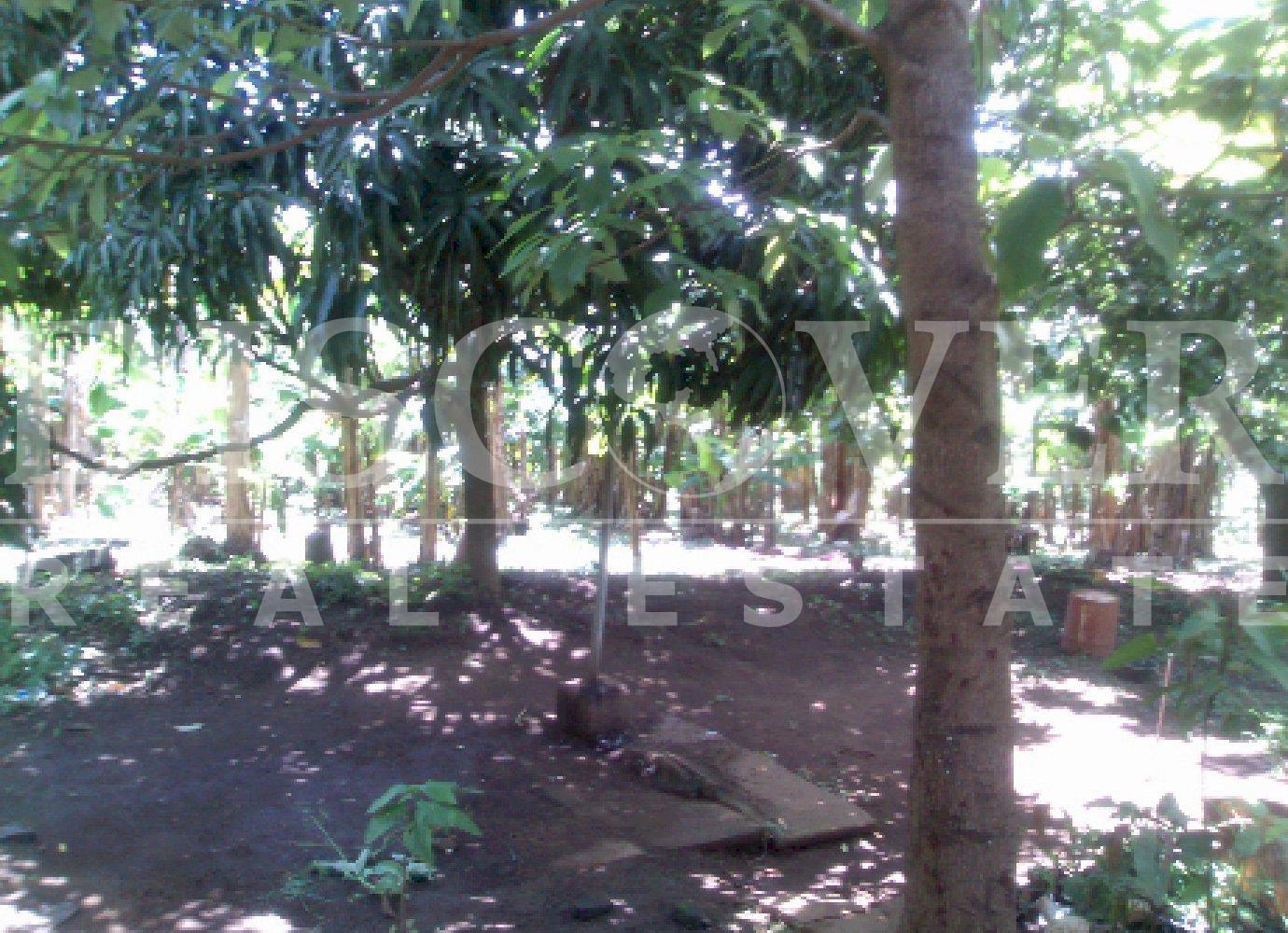 https://images.discovernica.com/propiedad/1600/3592_4_.jpg