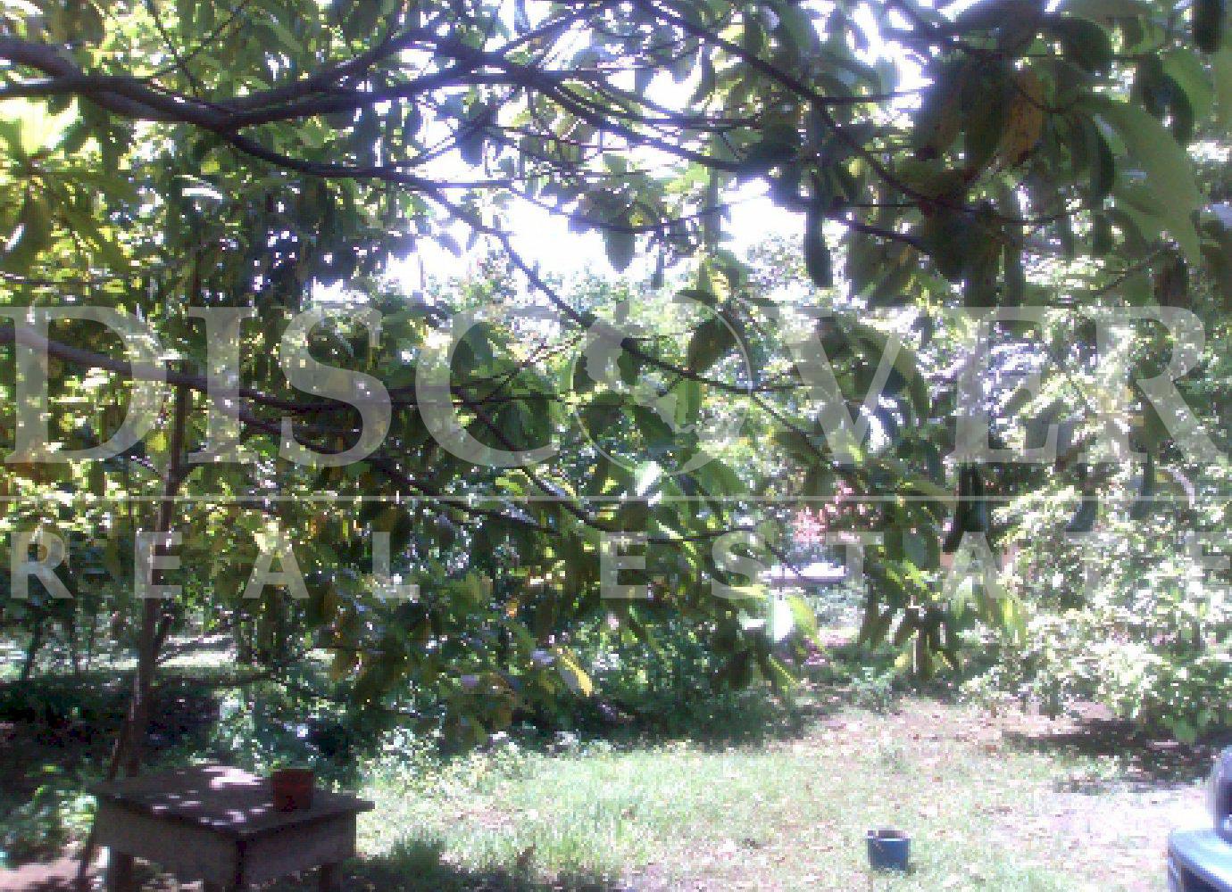 https://images.discovernica.com/propiedad/1600/3592_5_.jpg