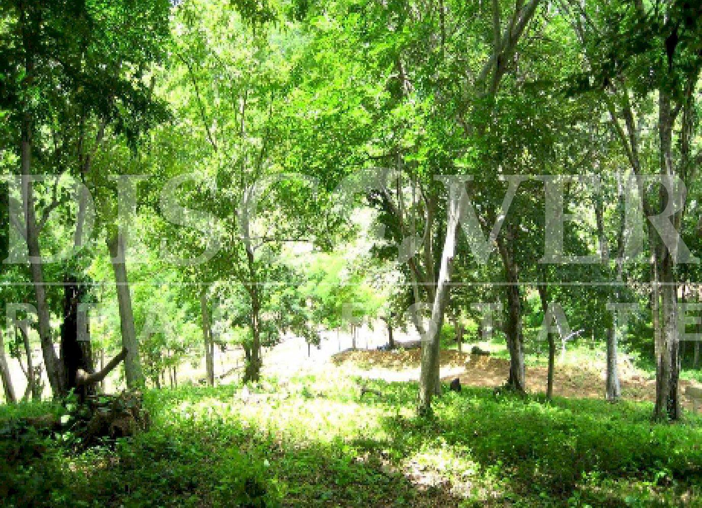 https://images.discovernica.com/propiedad/1600/3869_1_.jpg