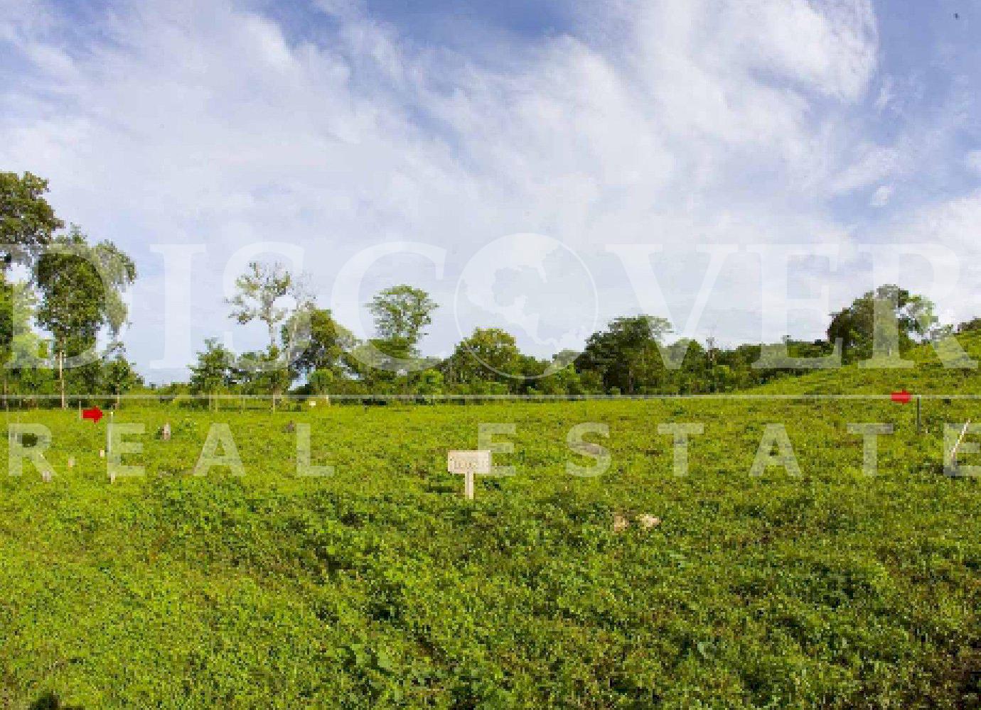 https://images.discovernica.com/propiedad/1600/3869_4_.jpg