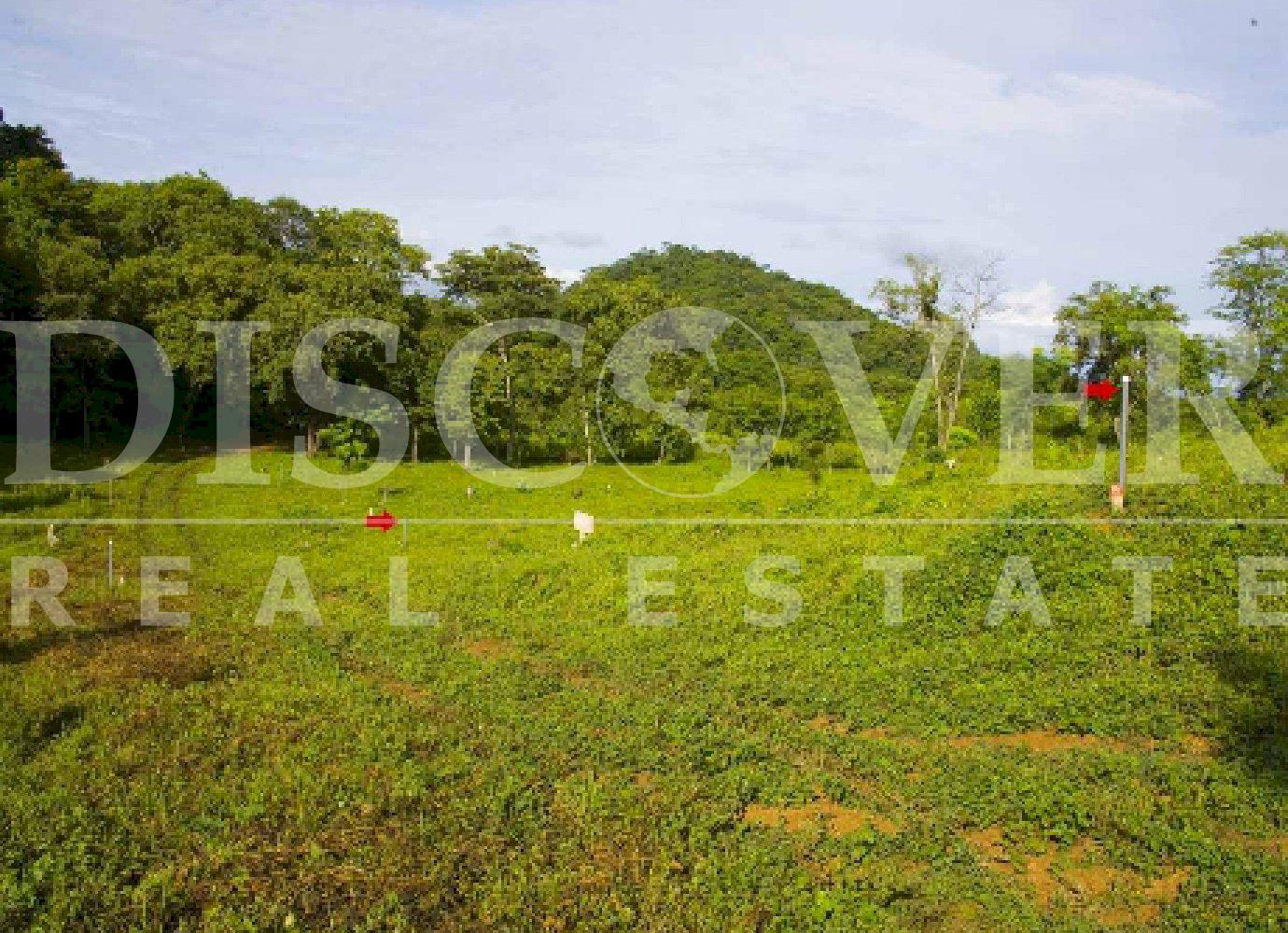 https://images.discovernica.com/propiedad/1600/3869_5_.jpg