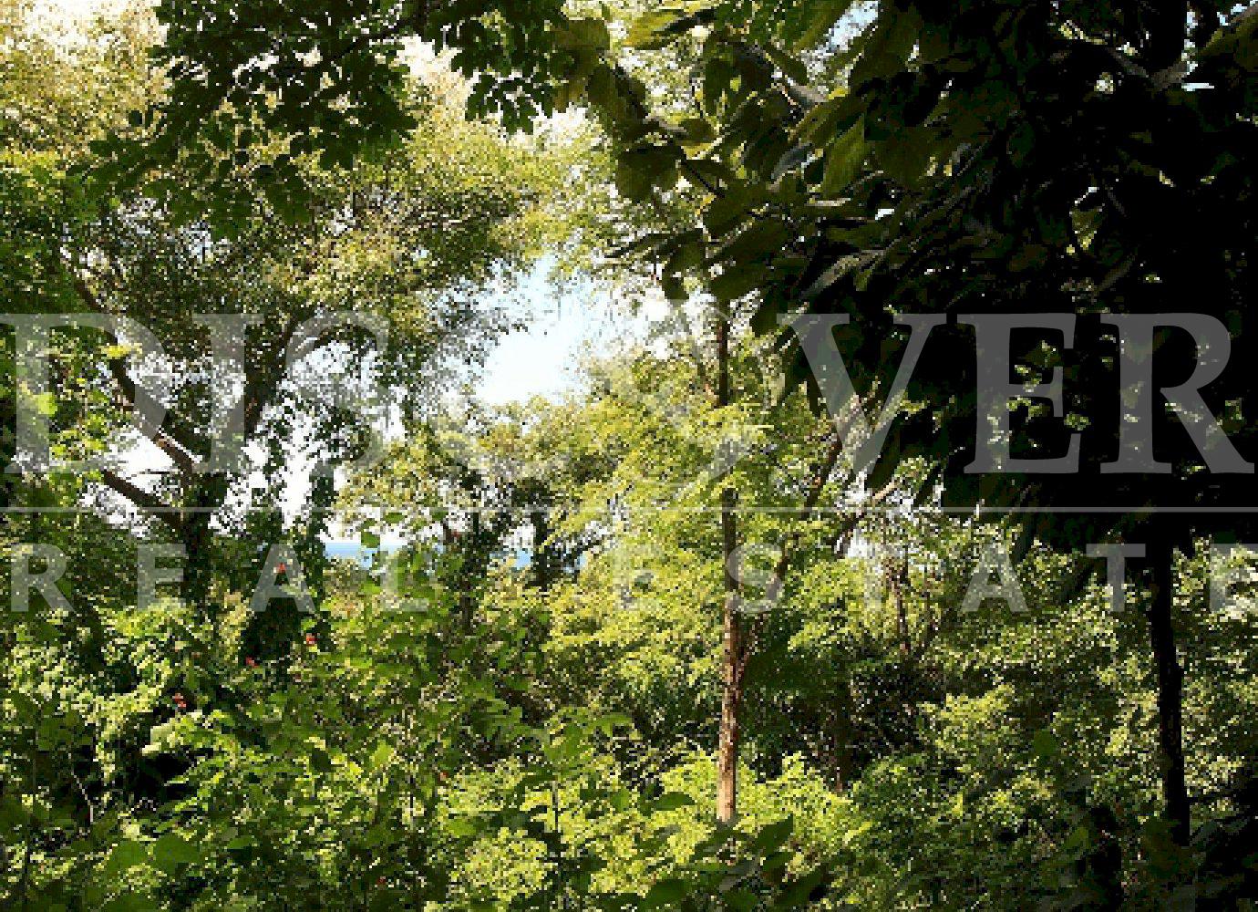 https://images.discovernica.com/propiedad/1600/3870_2_.jpg