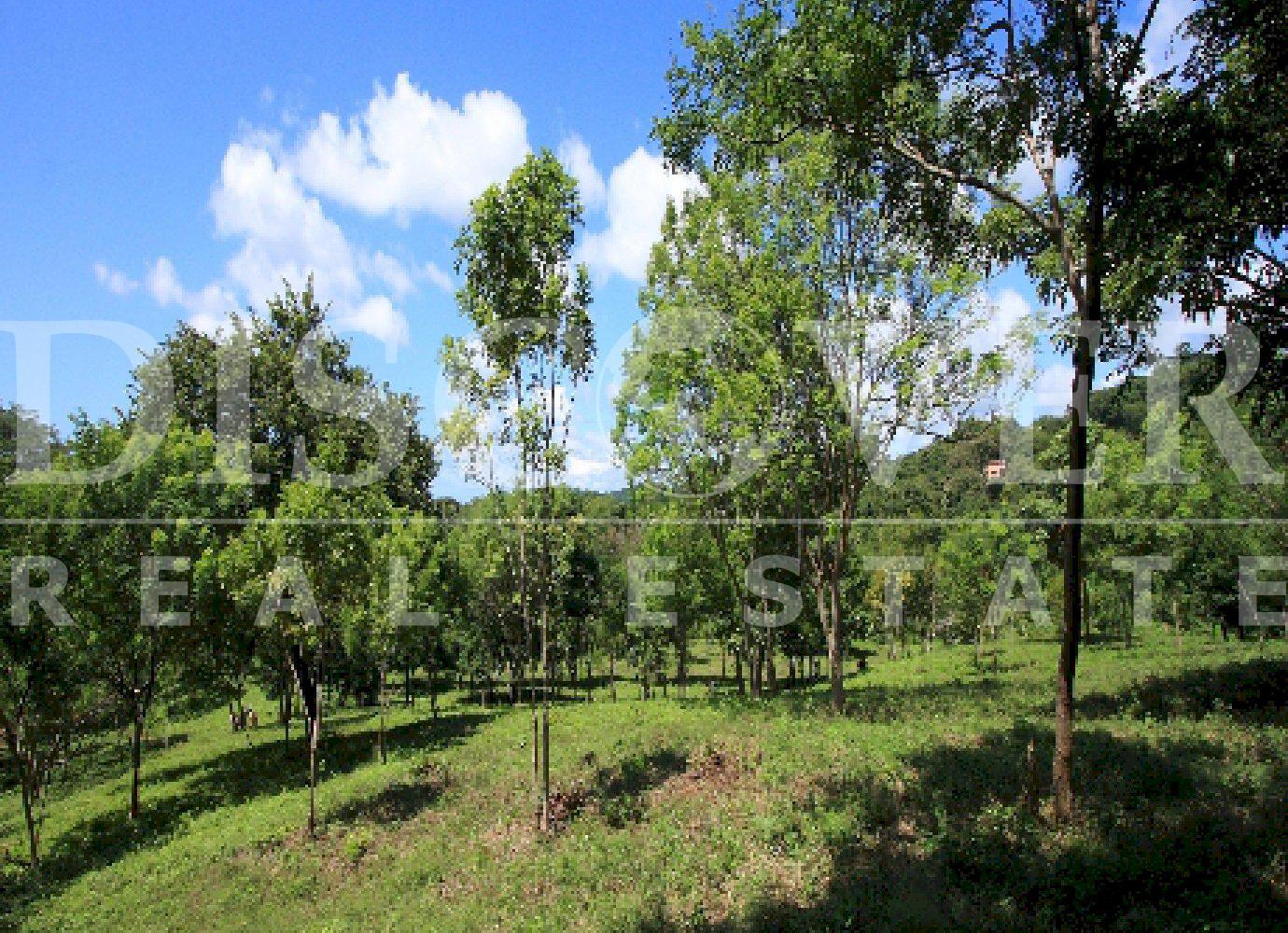 https://images.discovernica.com/propiedad/1600/3870_5_.jpg