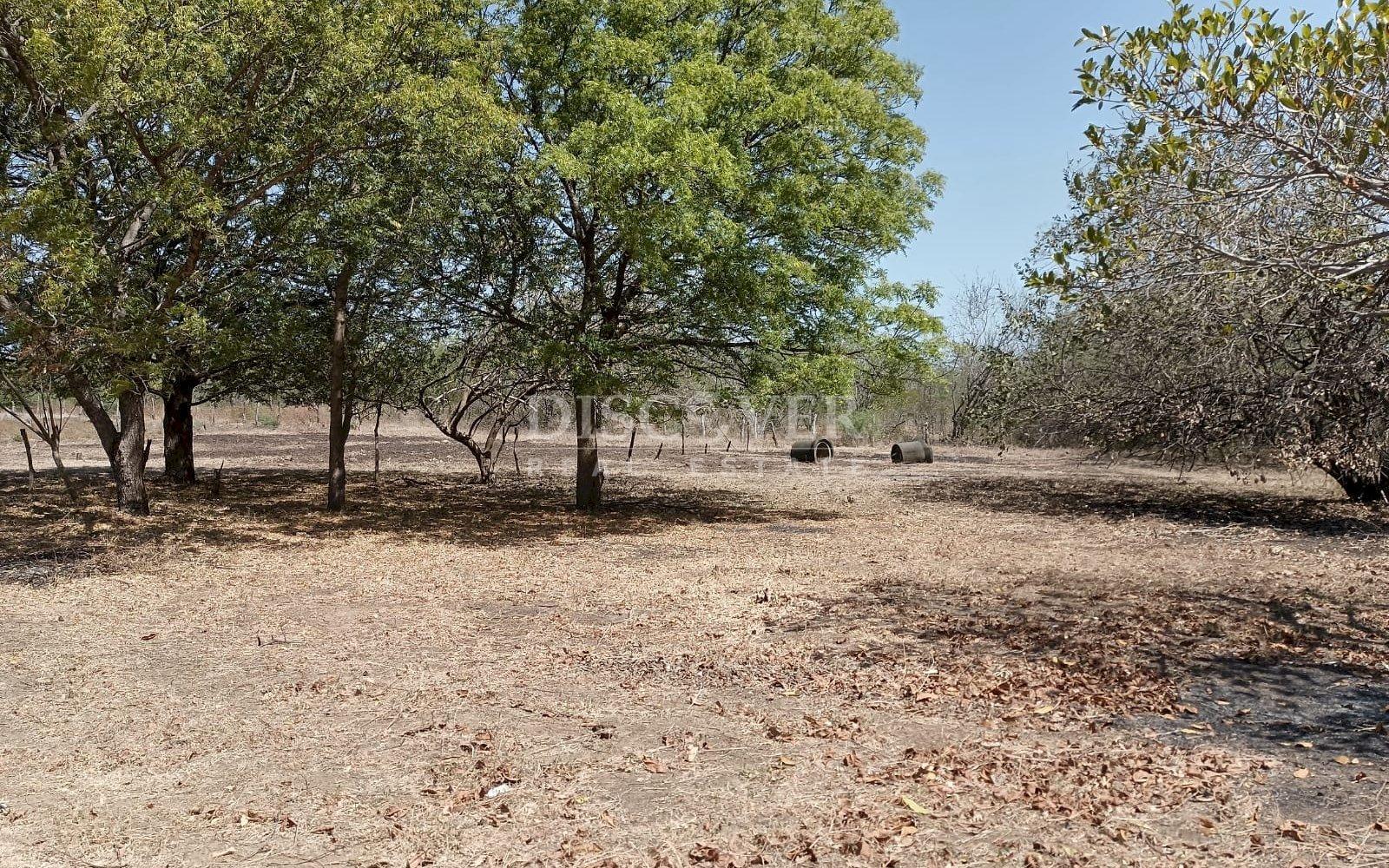 Oceanfront land for sale - La Boquita