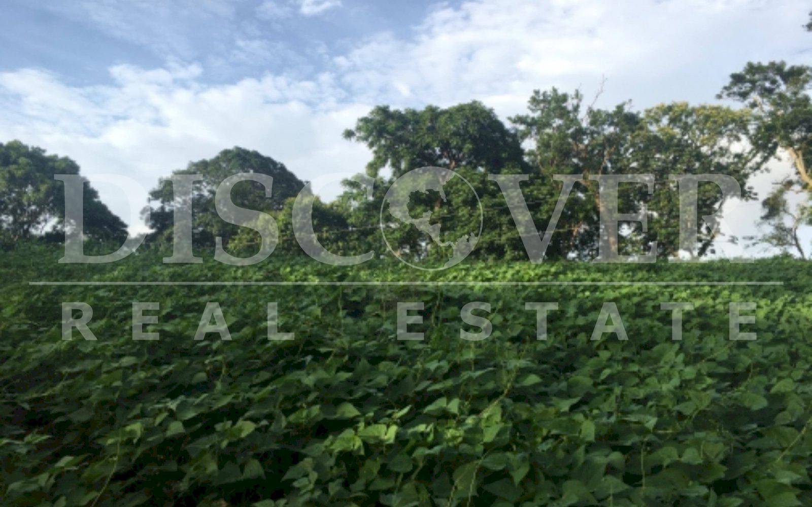 https://images.discovernica.com/propiedad/1600/3CF7A43F_410A_4C5F_B574_5C054871A3B4.jpeg