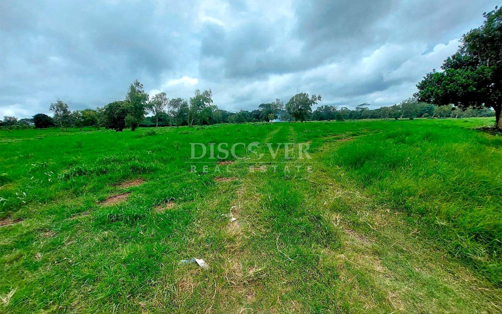  Land for sale in front of South Panamerican Highway