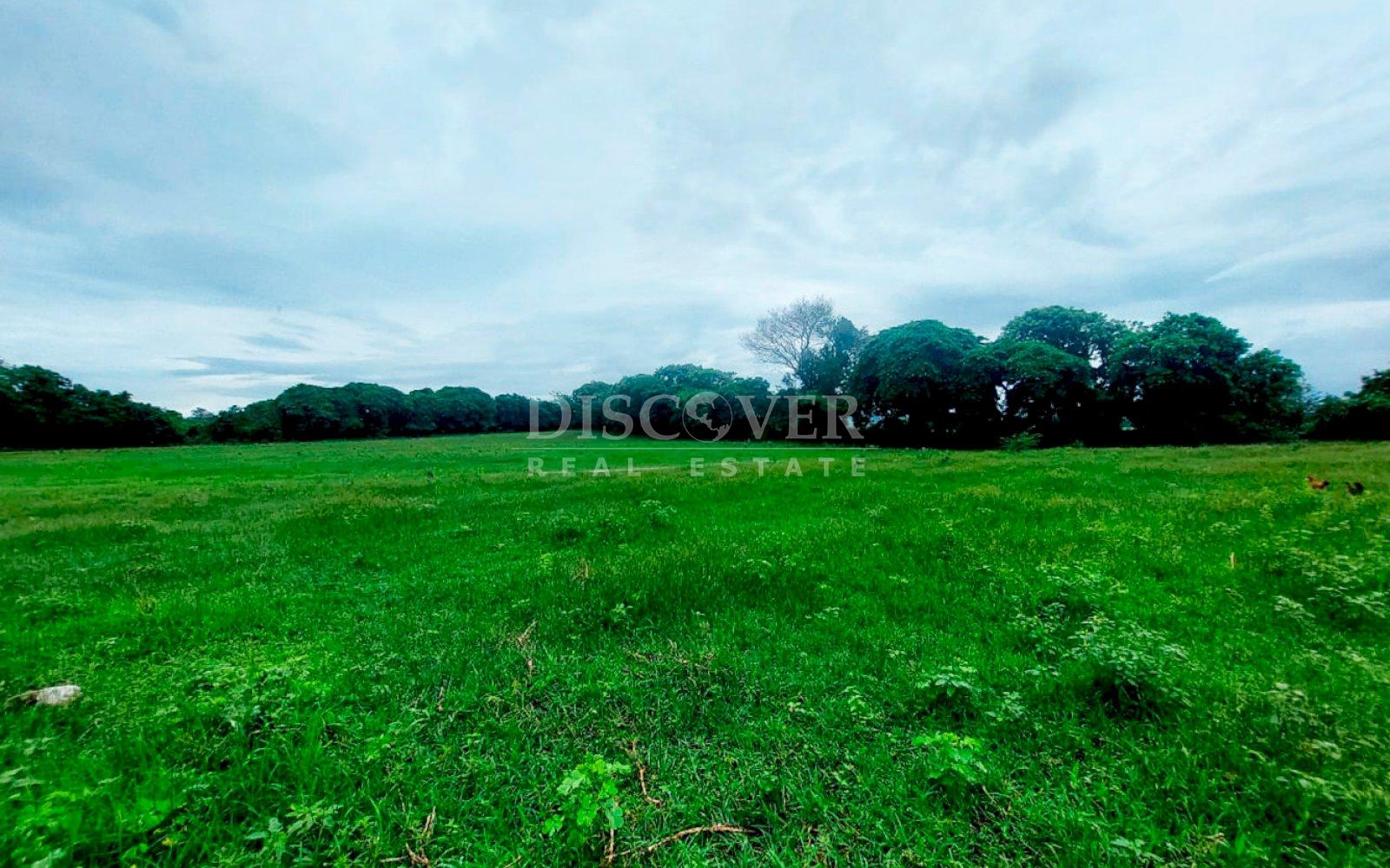 Imagen 3 de la galería