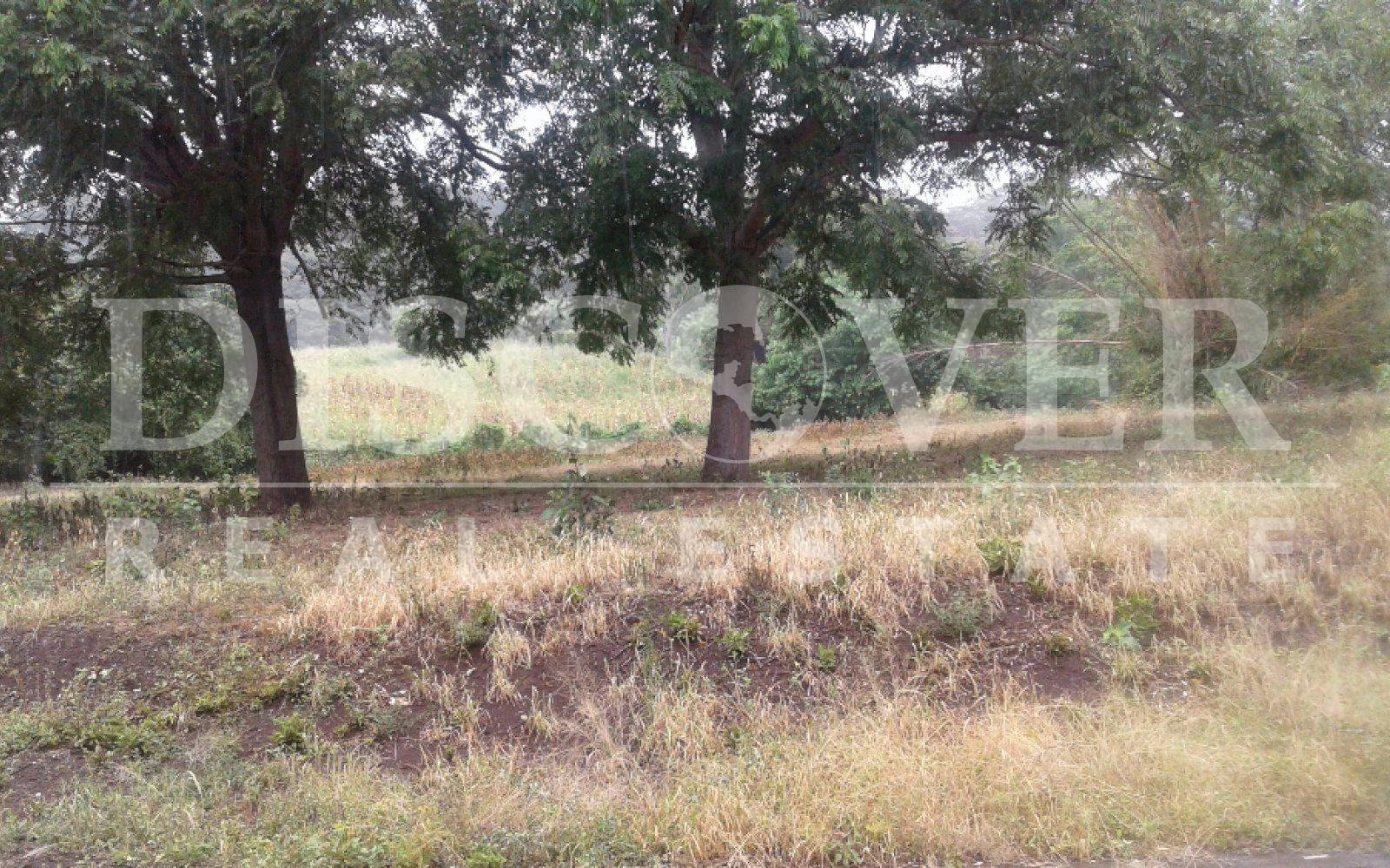 Imagen 1 de la galería
