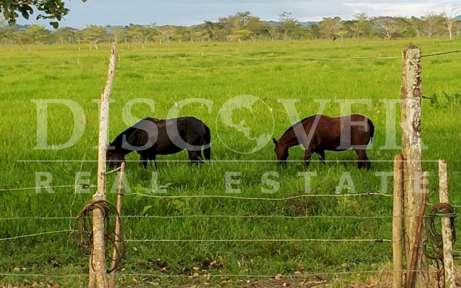 https://images.discovernica.com/propiedad/1600/3c96e293_1077_480b_8d49_fb8c980a7a8f.jpg