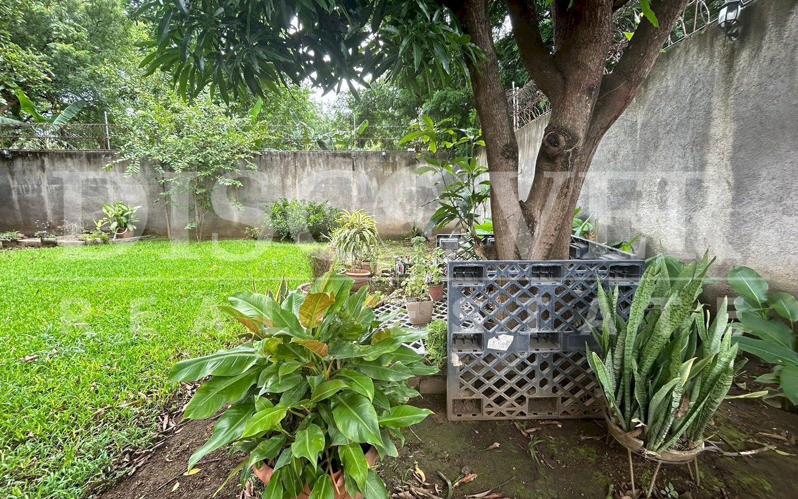Imagen 17 de la galería