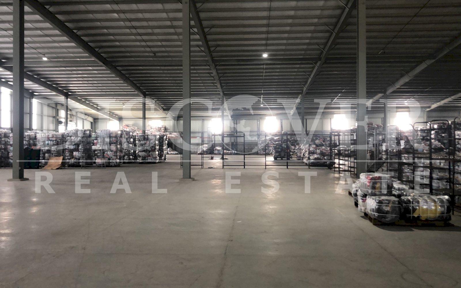 Imagen 4 de la galería