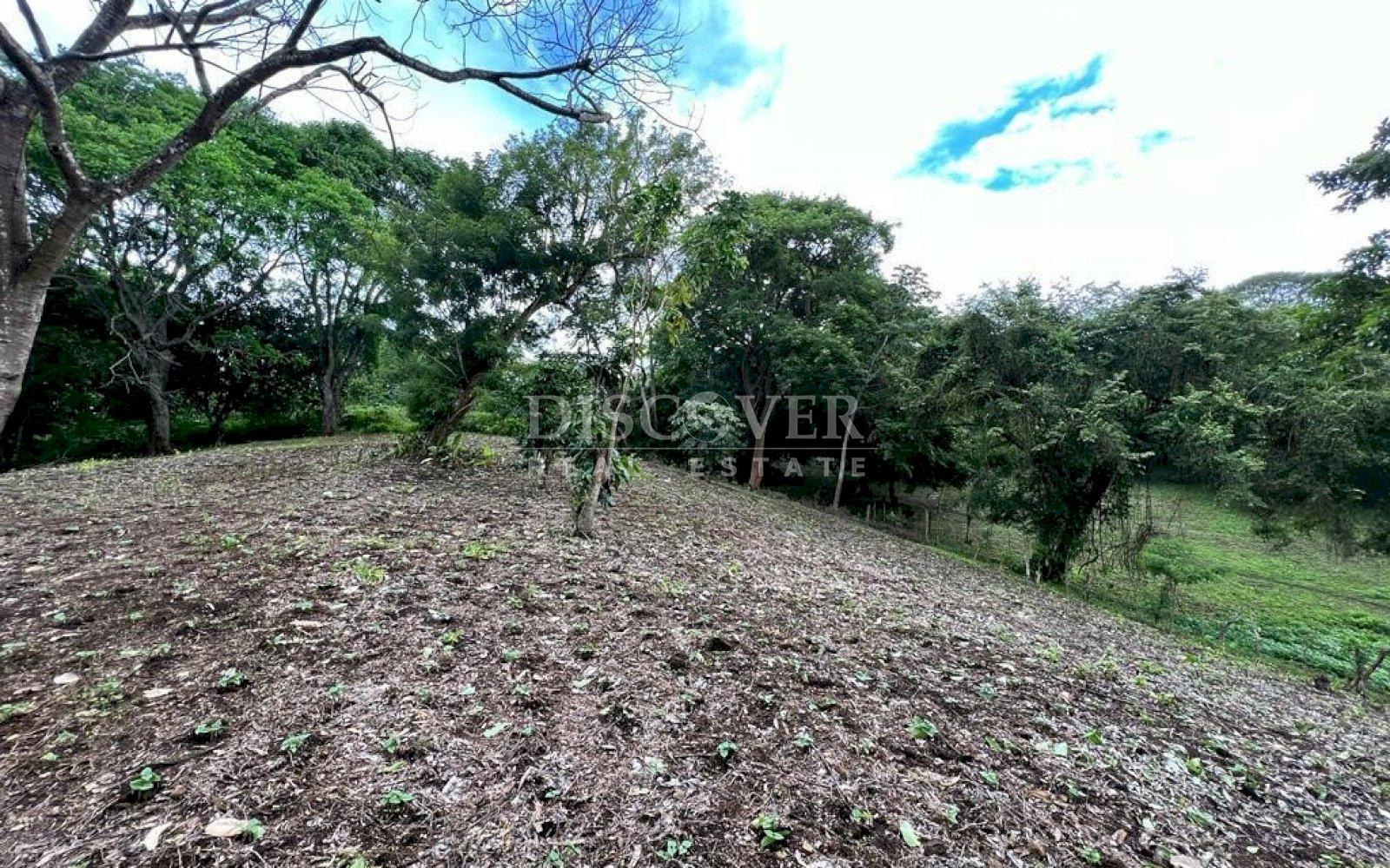 Imagen 4 de la galería
