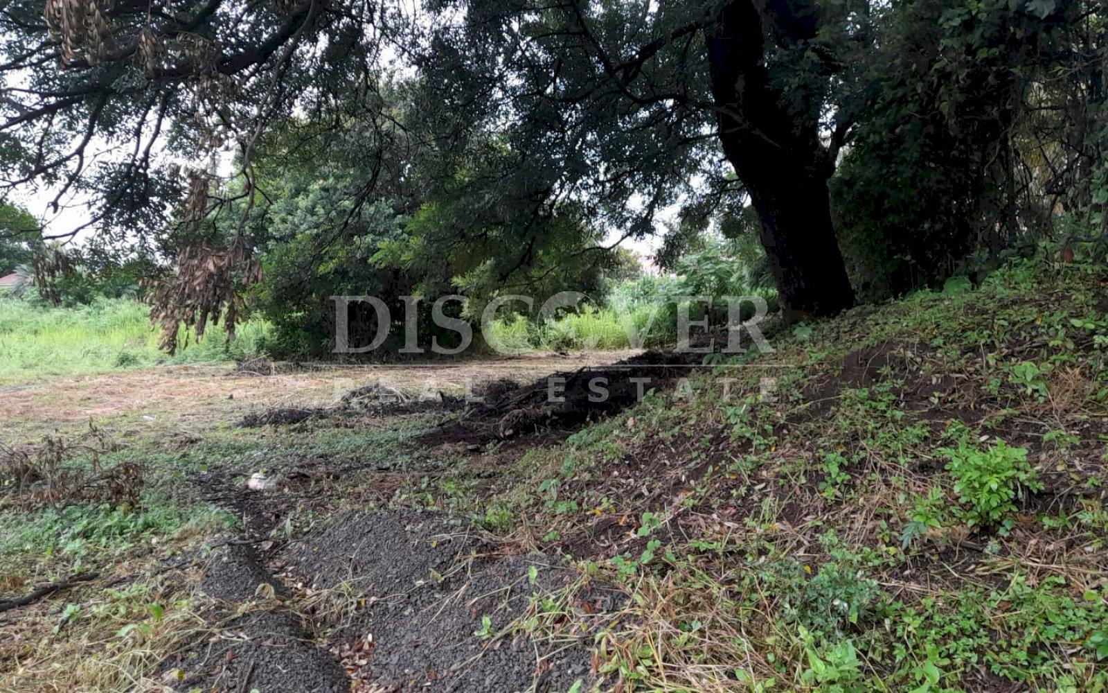 Imagen 3 de la galería