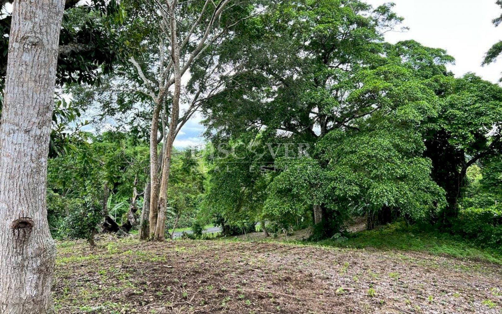 Imagen 1 de la galería