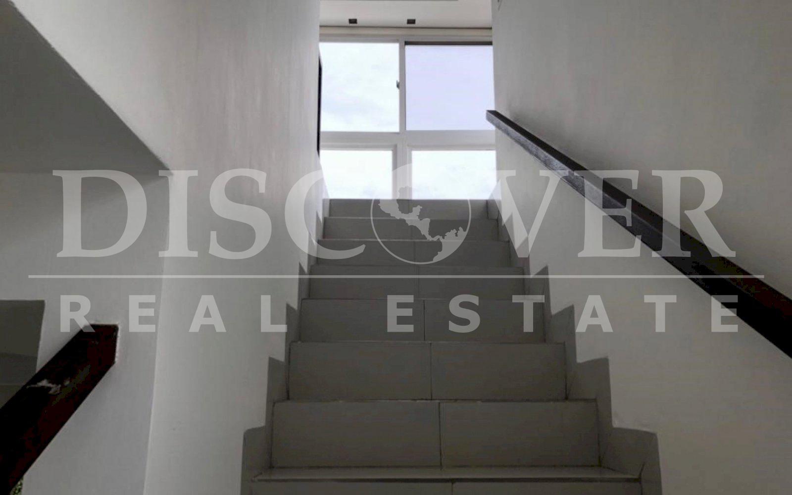 Imagen 4 de la galería
