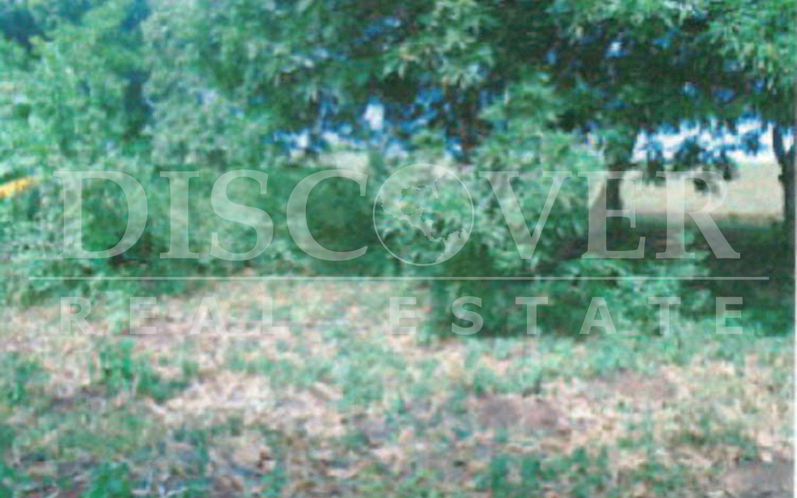 Imagen 2 de la galería