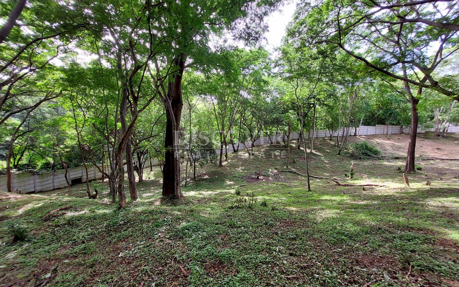  Land for sale in Villa Fontana.